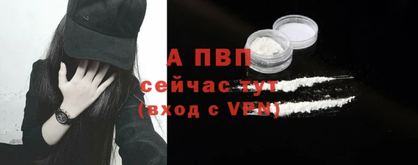 прущие грибы Беломорск