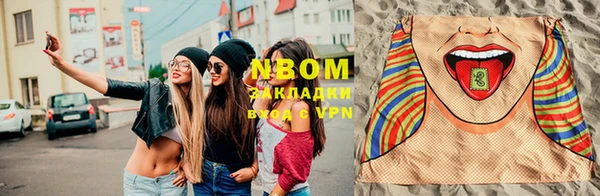 прущие грибы Беломорск