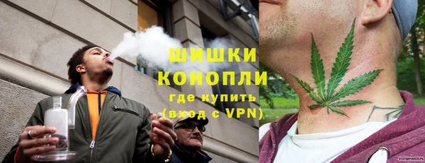 прущие грибы Беломорск