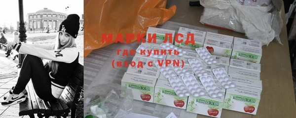 прущие грибы Беломорск