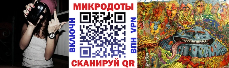 где найти наркотики  Ялта  Галлюциногенные грибы Psilocybe 